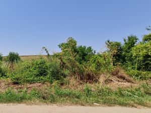 Teren intravilan baraj Dridu Ialomita, 924 mp	 — miniatura 4