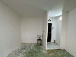 Lacul Tei, langa Facultatea de Constructii, investitie sau locuit — miniatura 5