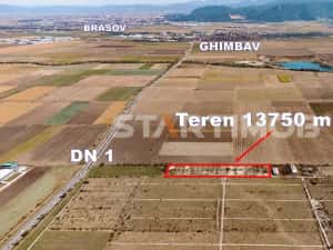 Teren Industrial Sere Codlea — miniatura 3