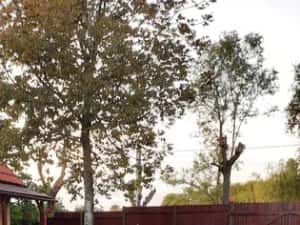 Honda VFR 800 Vtec 2002 ABS — miniatura 10