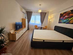 Apartament cu o camera, decomandat, Conest, etaj 3, 41mp, 420 euro — miniatura 2