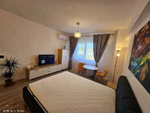 Apartament cu o camera, decomandat, Conest, etaj 3, 41mp, 420 euro — miniatura 3