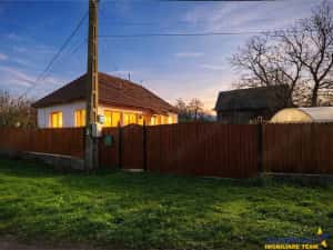 FILM! Casa cu sura, pivnita, balta cu pesti, 2.280 mp teren roditor — miniatura 7