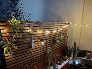 2 Camere Zona Tomis 2 Parter Curte Privată — miniatura 2