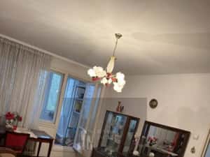 Apartament Nicolae Grigorescu / Camil Ressu / IOR