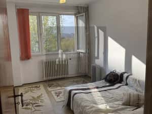 Apartament Nicolae Grigorescu / Camil Ressu / IOR — miniatura 4