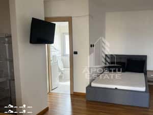 Apartament 1 camere , de închiriat , Zona Conplex -Timișoara — miniatura 3
