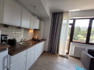 Proprietar Inchiriez Apartament de Lux zona deosebita Cioplea Predeal — miniatura 3