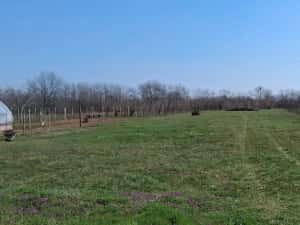 Teren intravilan - 3.000 mp , zona linistita 