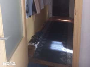 Inchiriez apartament cu doua camere zina Blascovici — miniatura 4