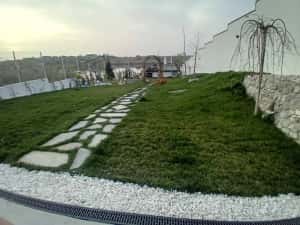 Gazon rulouri calitate premium — miniatura 1