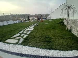 Gazon rulouri calitate premium — miniatura 5