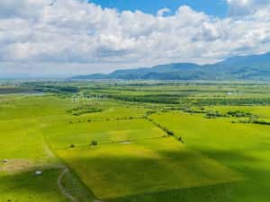 Teren de investiție în zona Tohanul Nou - Bran 5.800 mp — miniatura 9