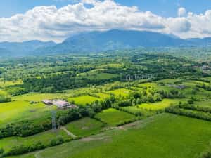 Teren de investiție în zona Tohanul Nou - Bran 5.800 mp — miniatura 10