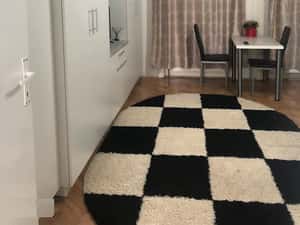Apartament de inchiriat cu terasa si acces la curte – confort si lin — miniatura 2