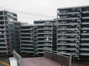 REMORCA CARGO/1300Kg CU SISTEM FRANARE, GRATUIT: Roata Sustinere, Civ RAR & Numar Provizoriu — miniatura 4