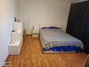 2 cam 50 mp zona nicolina pizza nico 380 euro liber 15.06. — miniatura 2