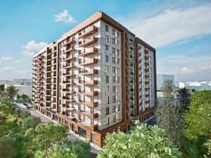 Brown Park Residence — miniatura 6