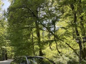 Bmw 730 Diesel M Sport Package