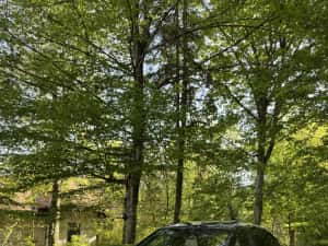 Bmw 730 Diesel M Sport Package — miniatura 2