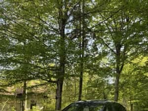 Bmw 730 Diesel M Sport Package — miniatura 9