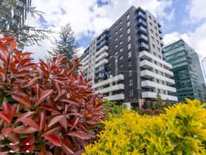 Studio Premium de vanzare | Cortina North | Persoana Fizica | semi-mob — miniatura 3