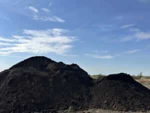 Pamant negru pentru gazon — miniatura 5