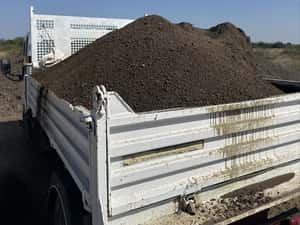 Pamant negru pentru gazon — miniatura 7