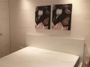 2 camere +parcare in Cosmopolis — miniatura 6
