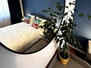 Apartament 3 camere de inchiriat – Ultracentral Sibiu — miniatura 5