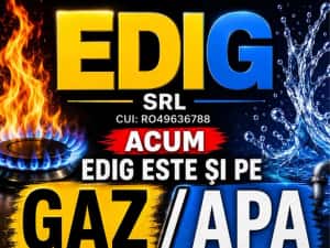 Firma-GAZE-APA-ANRE-NON STOP-Revizii/Verificari-Repornire