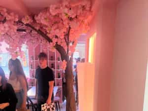 Decoratiune cafenea sau restaurant — miniatura 10