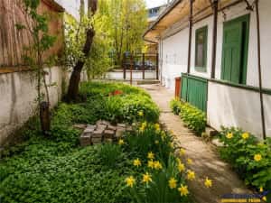 Casa individuala, compusa din 2 apartamente, zona Premium, Centrul Civic, Brasov — miniatura 5