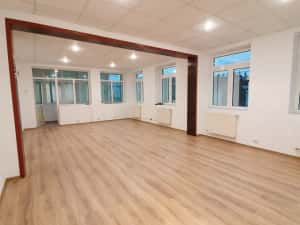 Vilă versatilă Calea Călărașilor, Ideală Birou, Locuință sau Mixte — miniatura 3