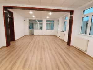 Vilă versatilă Calea Călărașilor, Ideală Birou, Locuință sau Mixte — miniatura 4