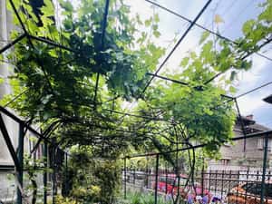 Apartament la casa cu curte proprie, parcare, Parcul Circului — miniatura 2