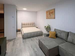 Studio dublu de inchiriat | PIPERA — miniatura 5