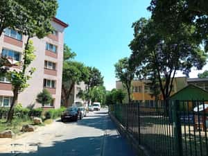 Apartament 3 Camere Parter zona Sagului Pta Doina — miniatura 3