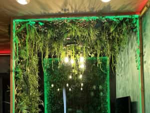 Regim Hotelier 5* cu JACUZZI in camera 48 Jeturi ULTRA LUX — miniatura 5