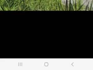 Gard garduri Montaj gard prefabricat — miniatura 2