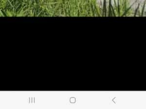 Gard garduri Montaj gard prefabricat — miniatura 10