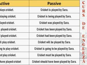 Meditații Engleză – Profesor cu Experiență Examen Cambridge — miniatura 4
