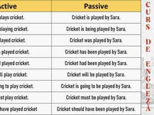 Meditații Engleză – Profesor cu Experiență Examen Cambridge — miniatura 6