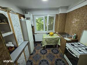 Apartament 2 camere Banat, confort 1, etaj 1, zona lic. Barbu — miniatura 6