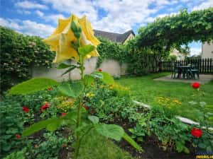 Casa cu vatra traditionala, gradina, garaj, facilitati, Codlea, Brasov — miniatura 4