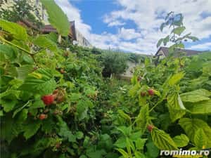 Casa cu vatra traditionala, gradina, garaj, facilitati, Codlea, Brasov — miniatura 9