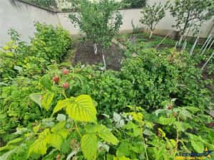 Casa cu vatra traditionala, gradina, garaj, facilitati, Codlea, Brasov — miniatura 10