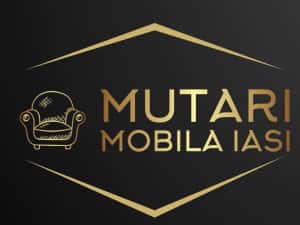Transport marfa Mutari mobila Debarasari obiecte vechi — miniatura 3