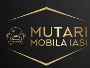 Transport marfa Mutari mobila Debarasari obiecte vechi — miniatura 9