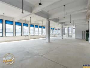 Unitate cu avantaj competitiv: 1.200 mp, teren 1.900 mp extensibil, Business Investitie, Central